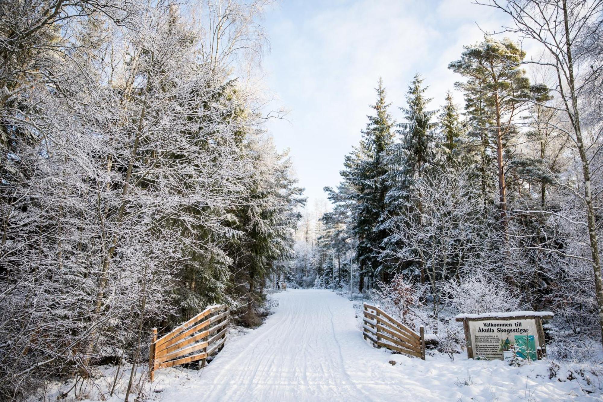 Akulla Outdoor Resort Rolfstorp Exterior photo